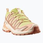 Women's running shoes Salomon XA Pro 3D V9 endive/burro/almond cream