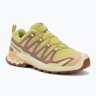 Women's running shoes Salomon XA Pro 3D V9 endive/burro/almond cream