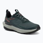 Men's hiking boots Salomon Elixir Activ GTX scarab/green gable