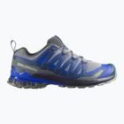 Men's running shoes Salomon XA Pro 3D V9 wrought iron/spellbound