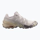 Men's running shoes Salomon Speedcross 6 silver cloud/paloma