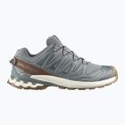 Men's running shoes Salomon XA Pro 3D V9 GTX Lifelong sedona sage/coyote brown