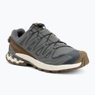 Men's running shoes Salomon XA Pro 3D V9 GTX Lifelong sedona sage/coyote brown