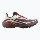 Men's running shoes Salomon Genesis 2 vanilla ice/iron