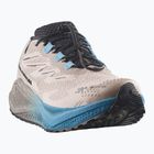 Men's running shoes Salomon Aero Blaze 4 GRVL GTX oxford tan/black