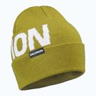 Winter hat Salomon Hermitage cardamon seed