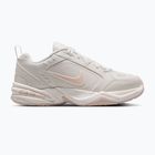 Men's training shoes Nike Air Monarch IV light bone/spruce aura/sanddrift