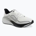 Men's running shoes Nike Pegasus 42 summit white/metallic silver-photon dust