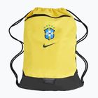Bag Nike Academy Brazil 18 l canary/pro green