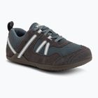 Men's barefoot shoes Xero Shoes Prio insignia stormy weather