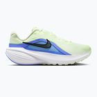 Men's running shoes Nike Downshifter 14 colt tint/white/black/black spruce