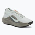 Men's running shoes Nike ACG Pegasus Trail GORE-TEX Light Silver/Light Army/Light Silver
