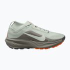 Women's running shoes Nike ACG Pegasus Trail GORE-TEX Light Silver/Light Army/Light Silver