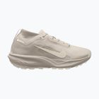 Men's running shoes Nike ACG Pegasus Trail GORE-TEX Cream Ii/Light Orewood Brown