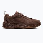 Men's training shoes Nike Air Monarch SE cacao wow/gum med brown/cacao wow
