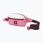 Waist bag Columbia Trail Traveler Hip sea salt/rosette/moonvista