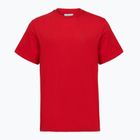 Men's T-shirt Columbia CSC Basic Logo Back Tee mountain red/linework c badge