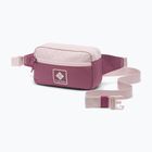 Waist bag Columbia Trail Traveler Hip 2 l mineral pink/antique mauve