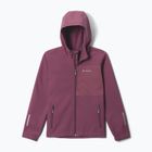 Children's softshell jacket Columbia Ascender Hooded Softshell antique mauve