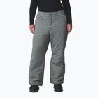 Women's ski trousers Columbia Bugaboo III sedona sage