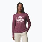 Women's longsleeve Columbia Parsons Point LS Graphic Tee antique mauve heather/all terrain