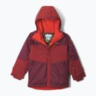 Children's ski jacket Columbia Mighty Mogul III Rich Wine/Red Oxide