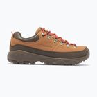 Men's trekking boots Columbia Newton Alpine Low grizzly bear/red oxide