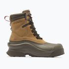 Men's snow boots Columbia Bugaboot Canyon sahara/mud
