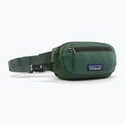 Waist bag Patagonia Terravia Mini Hip canopy green
