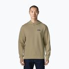 Men's sweatshirt Patagonia Daily Hoody weathered stone