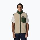Men's gilet Patagonia Classic Retro-X dark natural w/treeline green