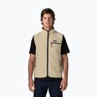 Men's gilet Patagonia Retro Pile pelican