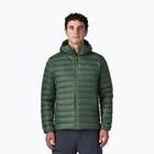 Men's down jacket Patagonia Down Sweater Hoody treeline green