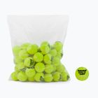 Babolat Gold Academy tennis balls 72 pcs yellow 512007