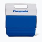 Igloo Playmate Mini 3 l sneaky blue camping fridge