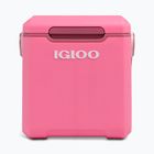 Cool box Igloo Tag Along Too Highrise 18 l pink