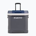 Igloo Maxcold Latitude 62 Qt Roller 59 l carbonite/ aegean sea camping fridge
