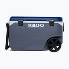 Igloo Maxcold Latitude 90 Qt Roller 85 l carbonite/aegean sea camping fridge