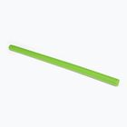 Arena Swimming Club Kit Noodle green 92800302202