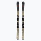 Downhill skis Rossignol Experience 80 CA + XP11 brown