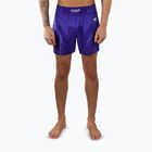 Men's training shorts Venum No Gi purple