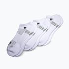 Socks Venum Vector No-Show 3 pairs white/grey