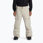 DC Code men's snowboard trousers plaza taupe