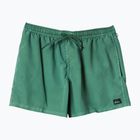 Men's Quiksilver Everyday Surfwash Volley 15 frosty spurce swim shorts