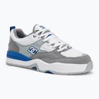 DC Ascend men's shoes white / grey / blue