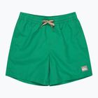 Children's swim shorts Quiksilver Everyday Volley 14" leprechaun
