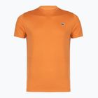 Men's tennis shirt Lacoste TH0004 blossom