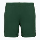 Men's tennis shorts Lacoste GH0138 green