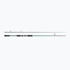 Abu Garcia Beast X Pike 842 H rod