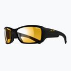 Sunglasses Julbo Reactive Performance 2-4 zebra/black